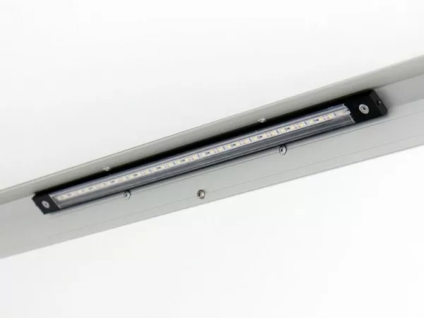 Variant Kofferanhänger Black Edition  H:157 1,3t|Klappe – Bild 10